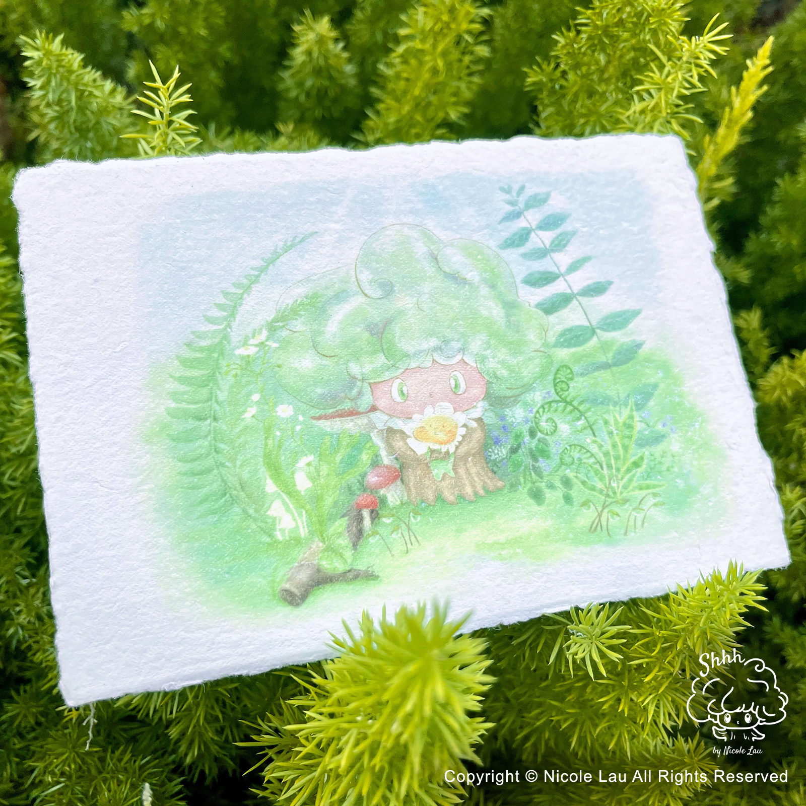 樹樹抱著肥花的再造紙明信片